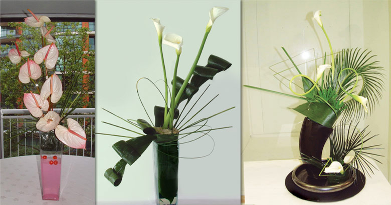 WorldofMandaps home image